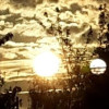 Simones Karten - Qualifikationen - Tarot & Kartenlegen - Liebe & Partnerschaft - Hellsehen & Wahrsagen - Kartenlegen
